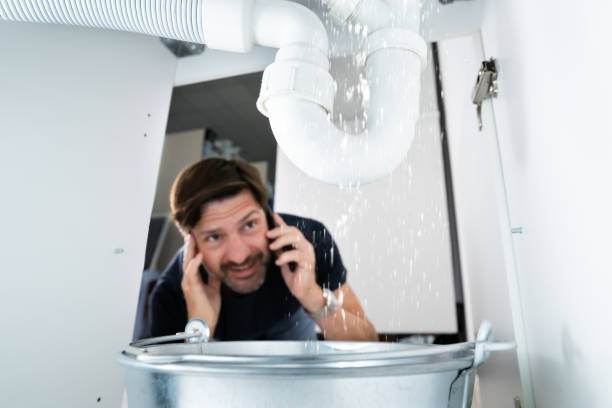 Best Water Leak Repair  in Long Lake, IL