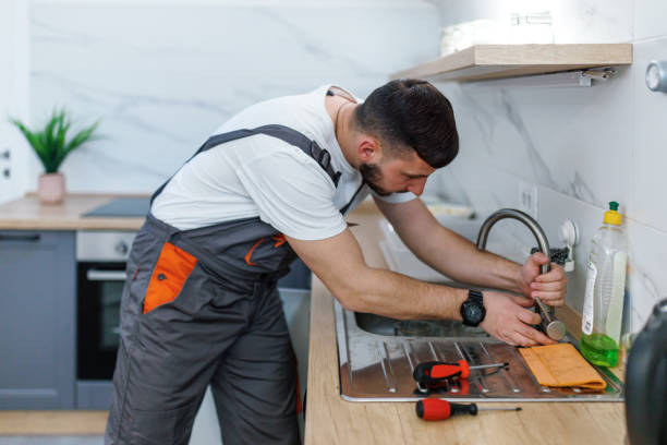 Best Plumbing Repair Near Me  in Long Lake, IL