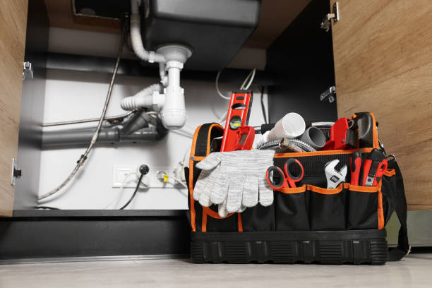 Best Shower Repair Services  in Long Lake, IL