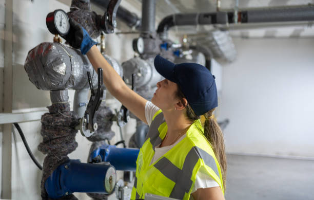 Best Local Plumber Services  in Long Lake, IL