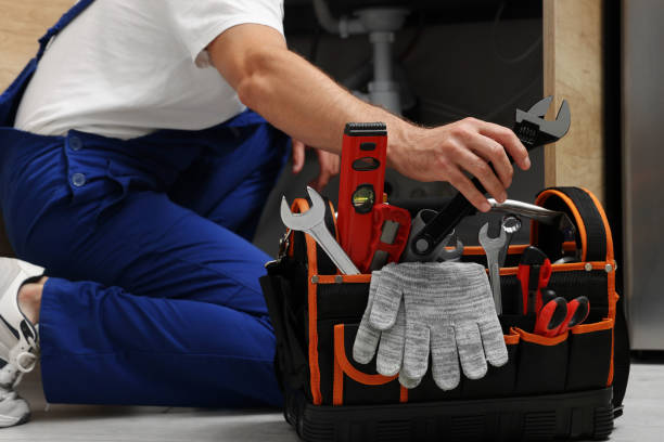 Best Commercial Plumbing Services  in Long Lake, IL