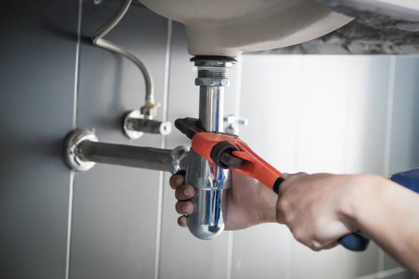 Best Plumbing Inspection Services  in Long Lake, IL