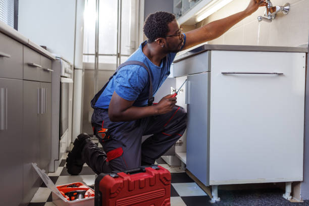 Best Same-Day Plumbing Service  in Long Lake, IL