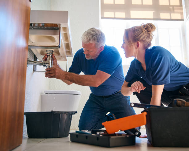 Best Toilet Repair Services  in Long Lake, IL